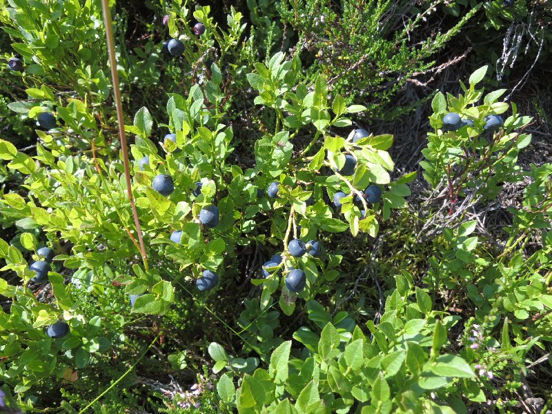 dscn3307.jpg