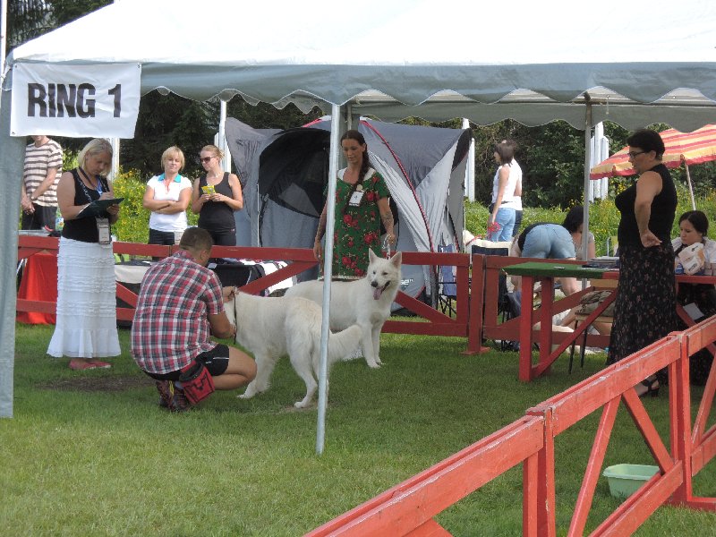 dscn3319.jpg