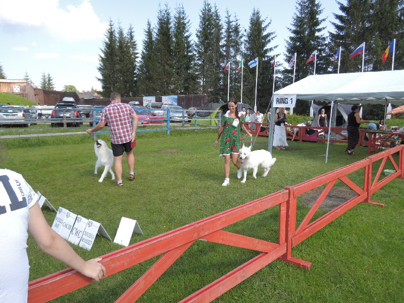 dscn3321.jpg