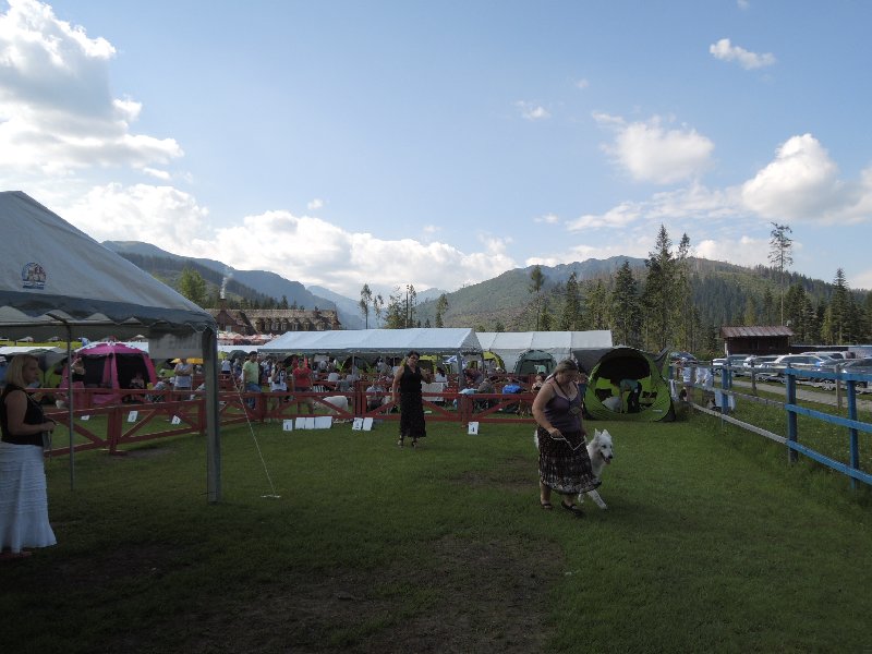 dscn3325.jpg