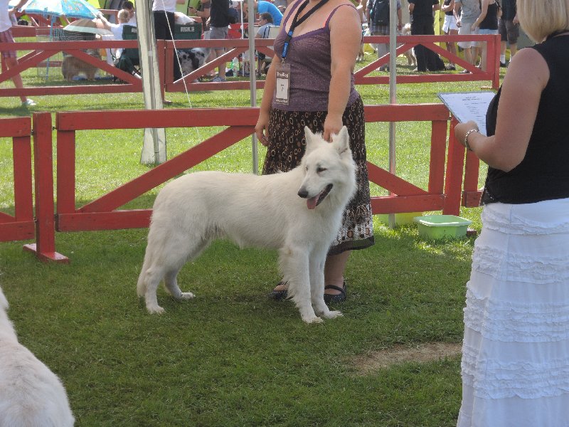 dscn3330.jpg