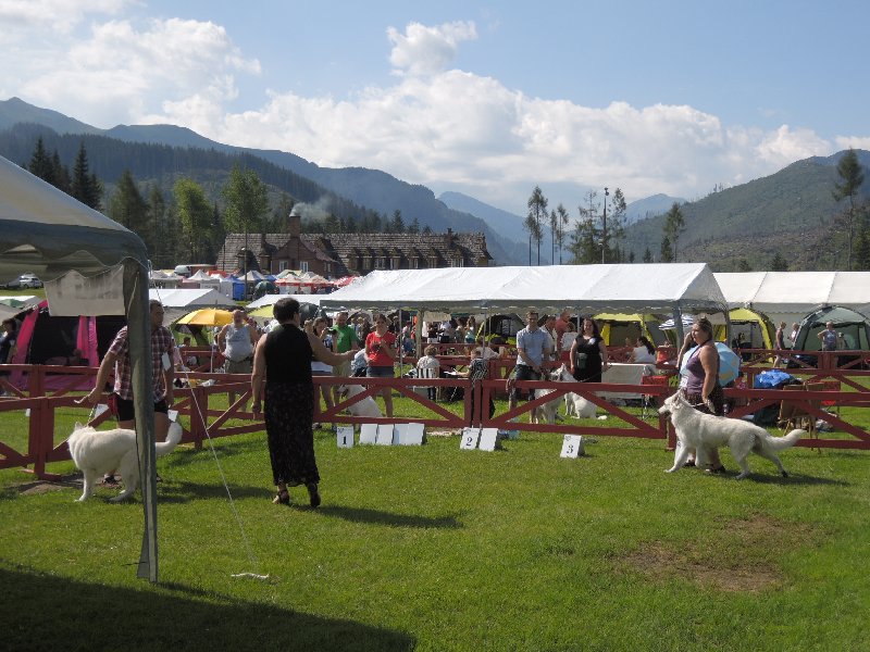 dscn3331.jpg
