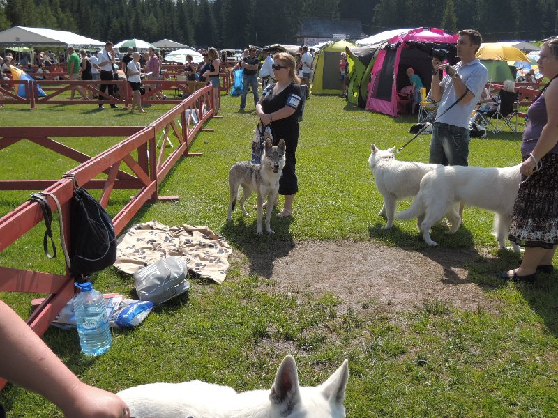 dscn3348.jpg