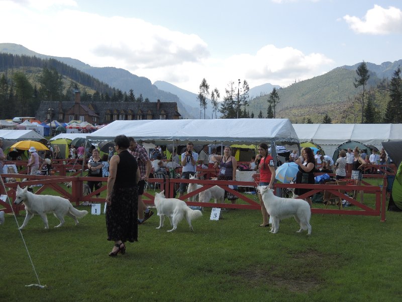 dscn3359.jpg