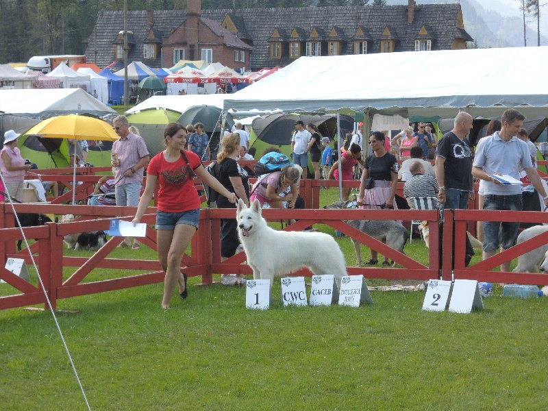 dscn3366.jpg