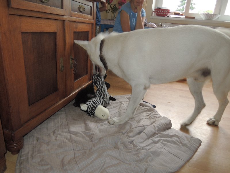 dscn3390.jpg
