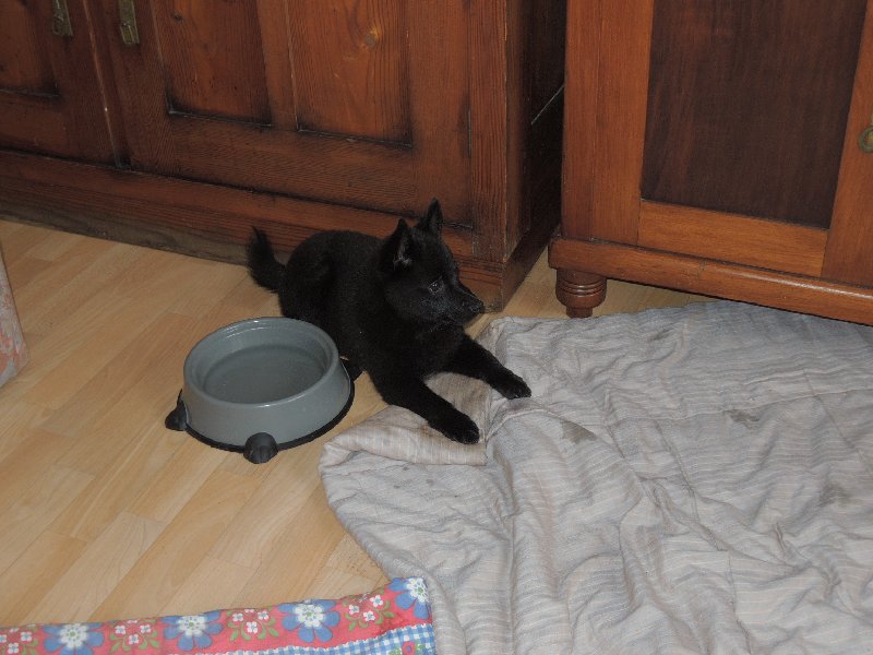 dscn3396.jpg